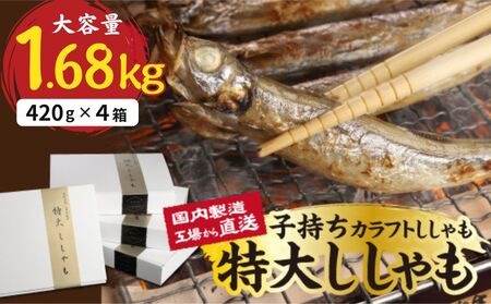 国内加工　特大ししゃも　4箱セット
