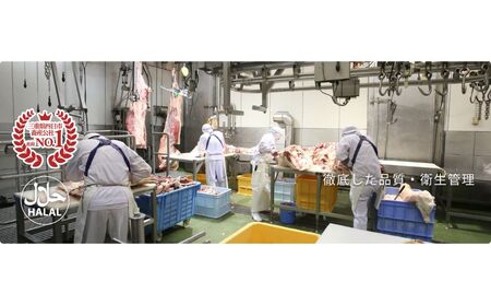 伊勢水沢牛 焼肉用 500g