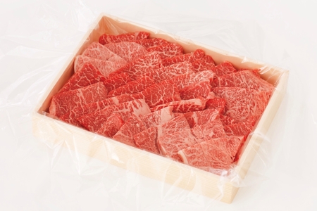 伊勢水沢牛 焼肉用 500g