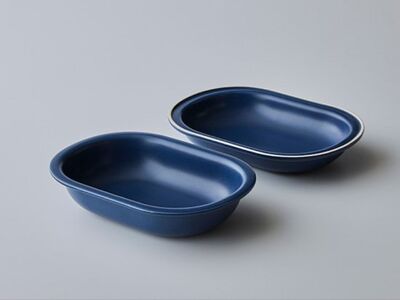 新発想・電子レンジで簡単に本格調理ができるRANGESTAR（レンジスター）（ダークブルー）