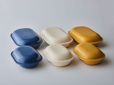 新発想・電子レンジで簡単に本格調理ができるRANGESTAR（レンジスター