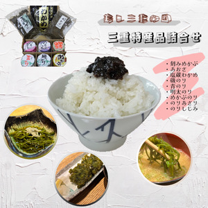1447　美し三重の国　三重特産品詰合せセット　海苔　海　海産物　特産品　カルシウム　食物繊維　天然物　伊勢　伊勢市　三重県　佃煮