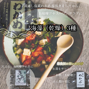 1447 美し三重の国 三重特産品詰合せセット 海苔 海 海産物 特産品 カルシウム 食物繊維 天然物 伊勢 伊勢市 三重県 佃煮 | 三重県