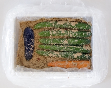 1571　老舗 漬物屋 ぬか床 1.2kg ＋ 野菜セット　　林商店 ふるさと納税 ぬか漬け 腸活 胡瓜 きゅうり 茄子 ナス 人参 にんじん 伊勢市 伊勢志摩 三重 伊勢沢庵 各種漬物 製造本舗 お取り寄せ 和食