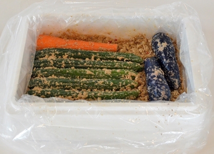 1572　老舗 漬物屋 ぬか床 2kg ＋ 野菜セット　　林商店 ふるさと納税 ぬか漬け 腸活 胡瓜 きゅうり 茄子 ナス 人参 にんじん 伊勢市 伊勢志摩 三重 伊勢沢庵 各種漬物 製造本舗 お取り寄せ 和食