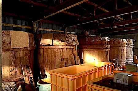 1574　2年物 熟成 発酵 伊勢たくあん 1本 大パック　　老舗漬物屋 林商店 ふるさと納税 漬物 つけもの 腸活 伊勢市 伊勢志摩 三重 伊勢沢庵 各種漬物 製造本舗 お取り寄せ 和食 米がススム