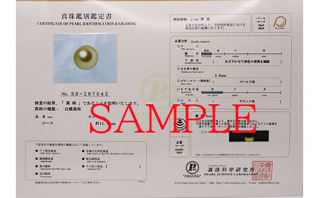 1692 【真珠科学研究所オーロラ茶金鑑別書付】K18 南洋ナチュラルゴールデン真珠11.0㎜up ダイヤモンド0.23ct ペンダントネックレス