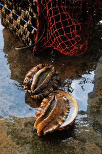 1755　〈伊勢せきや〉鮑ステーキ　2個詰め合わせ ステーキ 豪華 プレゼント 天然黒鮑 あわび