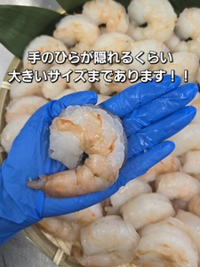 1809　伊勢で加工した(養殖）大粒むきえび1Kg袋×2セット背ワタ無し プリプリ ブリブリ 冷凍 お弁当 おかず 魚介類 三重県 伊勢市 下処理不要 海鮮 大容量 時短