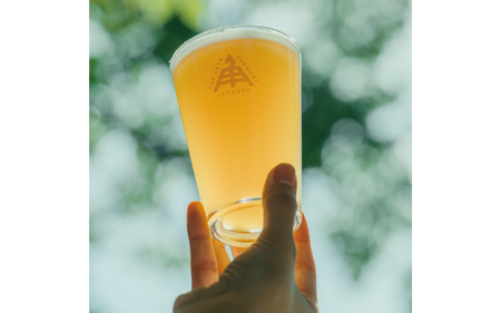 884 伊勢角屋麦酒　ISEKADO缶ビール　3種12缶セット 伊勢角屋麦酒 伊勢角 セット 缶 ビール お酒 クラフトビール 三重県 伊勢 世界大会金賞 ペールエール IPA お歳暮 ギフト 贈り物 晩酌 地ビール 爽快 飲み比べ