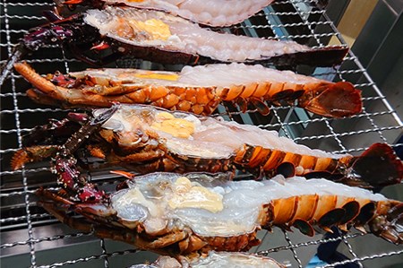 1258　伊勢海老の干物　伊勢海老　干物　三重県ブランド認定第一号