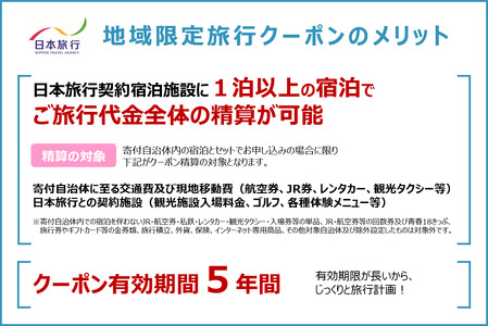 1338 日本旅行地域限定旅行クーポン　90,000円分