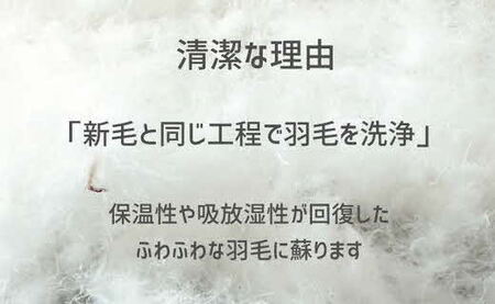 ザ・羽毛ふとん/立体キルト 布団 睡眠 寝具 ふとん【251-000367-20】【7.6-1】