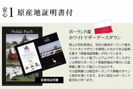 極上羽毛/立体キルト 布団 睡眠 寝具 ふとん 【251-000290-20】【42-2】