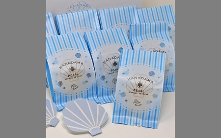 華珠(HANADAMA)10個入専用箱・手提げ袋セット【1.2-15】