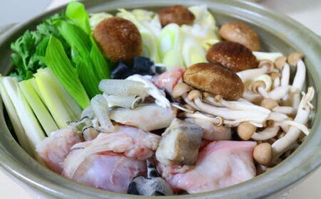 【1.1-11】とらふぐ アラとヒレ 2匹分 フグフグフグ