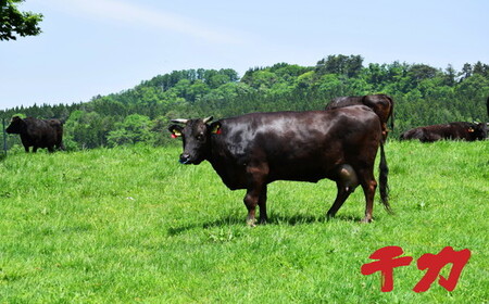 松阪牛ロースすき焼き用150g 牛肉 すき焼き【1-409】