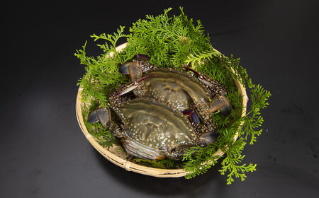 伊勢湾天然ワタリガニほぐし身 味噌付 2杯【1.2-21】