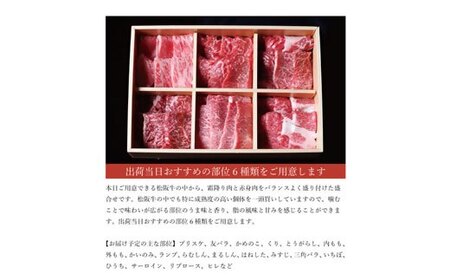 【ふるなびWEEK対象】松阪牛極上焼肉 おまかせ6種 600g 牛肉 焼肉【3-171】