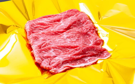 松阪牛赤身定期便（～12月受付・翌4月から毎月発送）牛肉 焼肉 すき焼き【9-14】