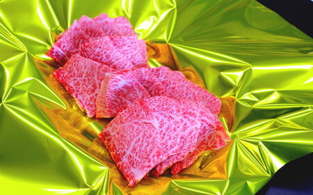 松阪牛赤身定期便（～12月受付・翌4月から毎月発送）牛肉 焼肉 すき焼き【9-14】