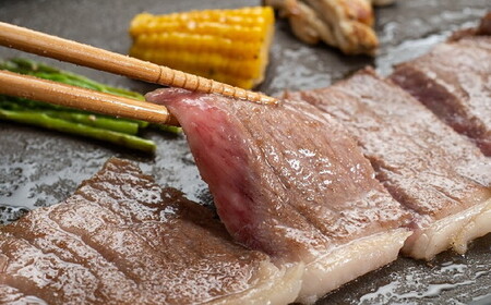 松阪牛プレミアム定期便（～12月受付・翌4月から毎月発送）牛肉 すき焼き 焼肉【21.4-1-02】