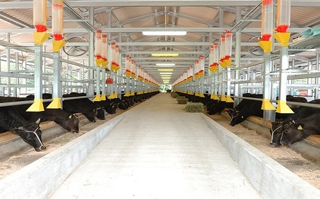 松阪牛 サーロインステーキ 750g 150g×5枚入 牛肉 ステーキ【5-37】