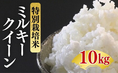 ミルキークイーン＜特別栽培米＞精米 10㎏（減農薬 有機肥料 お米 米 おこめ こめ 白米 みるきーくいーん）【002310A】