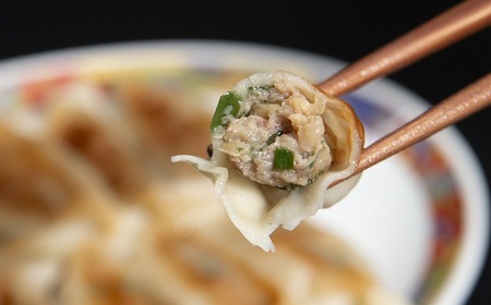 松阪牛餃子と松阪牛焼売【1-182】