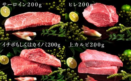 松阪牛豪華焼肉一段重 計800g 牛肉 焼肉【10-45】