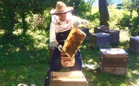 国産 蜜匠セット はちみつ はちみつ【002207】