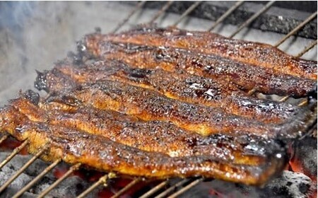 うなぎ松岡　蒲焼1本【限定10点／月】 うなぎ うなぎ うなぎ うなぎ うなぎ【1.3-1】