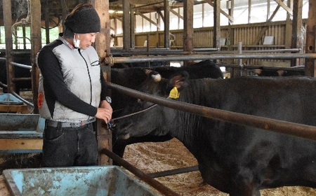 松阪牛焼肉ロース 400g 牛肉 焼肉【3-127】