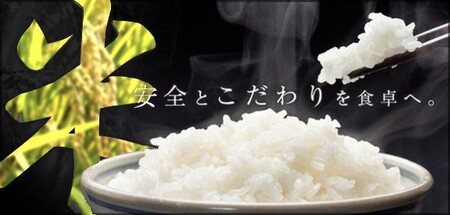 コシヒカリ（特別栽培米）10kg【1-9】