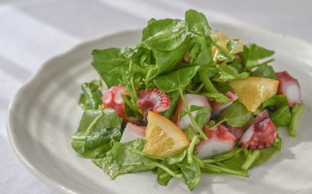 はぜのクレソンと里山の恵みセット（11月～4月発送）【1-224】