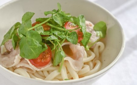 はぜのクレソンと里山の恵みセット（11月～4月発送）【1-224】