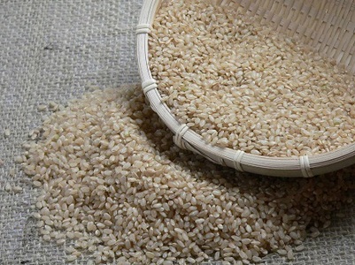 （新米予約9月以降発送）ミルキークイーン（特別栽培米）玄米 10㎏【1-376】