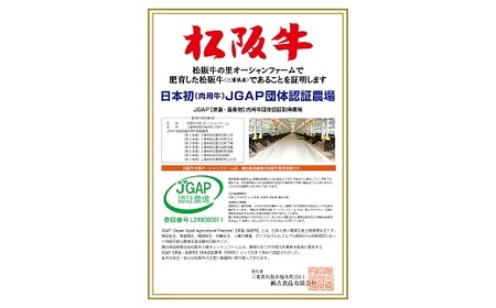【2-33】松阪牛ステーキ（カイノミ）400g