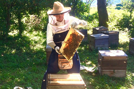 蜜匠 1000g はちみつ 2種セット はちみつ【3-13】