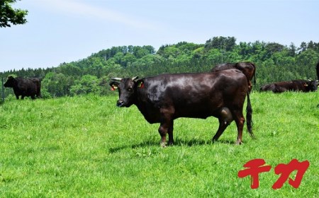 松阪牛焼肉セット(ホルモン・赤身カルビ・ロース)計1.4kg 牛肉 焼肉【10-28】