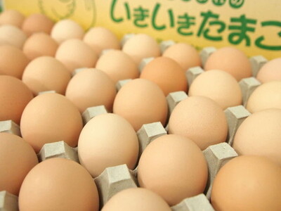 【卵】松阪うまれのいきいきたまご（90個入り（割れ補償含む））【1.2-9】