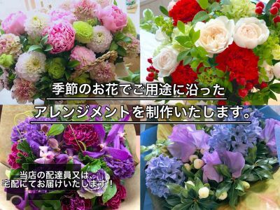 お花ちゃん生花店　季節のフラワーアレンジメント?記念日セット?（全３回）　Mサイズ　e_11