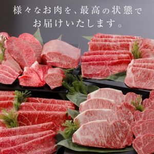 柿安本店　柿安黒毛和牛食べくらべセット【定期便】　国産　牛肉　赤身　厳選　上質　すき焼　焼肉　サーロインステーキ　ロース　モモ　逸品　おすすめ　グルメ　e_07