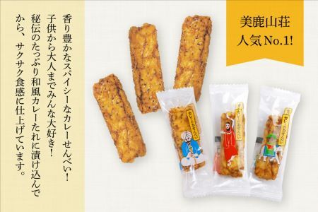 美鹿山荘　【定期便】 スパイシーなカレーのおせんべい ４種のカレー食べ比べ アソートセット １００ｇ×２箱 を6か月連続　n_20