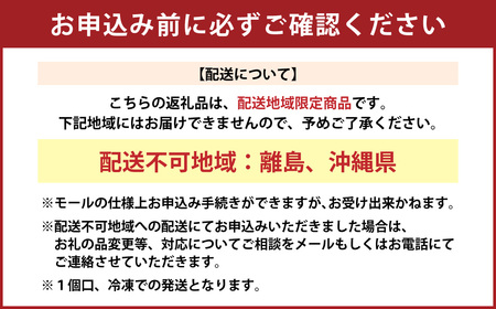 鳥文 炭火焼き鳥 串セット 25本 （三重県産 鳥文特製） 073-0009x1