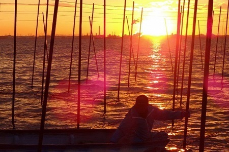 桑名産焼きのり （等級検査済） 板のり10／袋×10 化粧箱入り 海苔 全形 焼き海苔 焼海苔 のり ギフト 034-0032