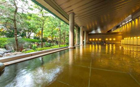 ナガシマリゾート 長島温泉ホテル花水木本館 和室宿泊券 【平日限定プラン】【有効期限有り】 1泊2食付き （2名様） チケット 観光 旅行 温泉 三重県 桑名市