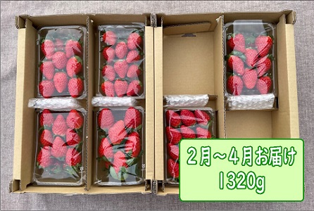 a_80 のらくら農園 のらくら農園の新鮮いちご・たっぷりセット