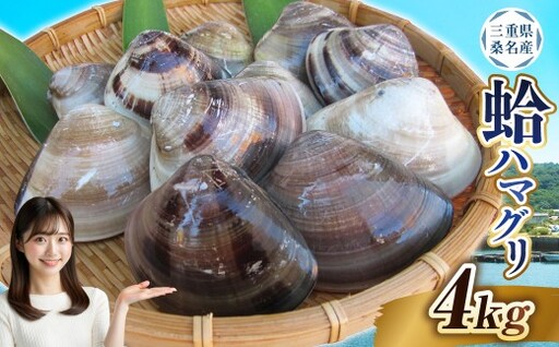 【指定日必須】 丸元水産 桑名産蛤（ハマグリ） 4.0kg はまぐり 蛤 天然蛤 砂出し済 【2025年9月下旬から2026年6月下旬発送予定】 023-0033