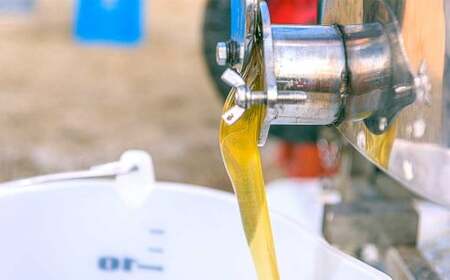 九華はちみつ アカシアボトルセット 300g×2本 計600g はちみつ 蜂蜜 ハチミツ 国産はちみつ ハニー 039-0071